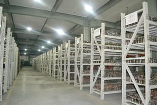 靈活倉儲(chǔ)新選擇 上海小倉庫30平起租，短租臨時(shí)倉儲(chǔ)服務(wù)全解析