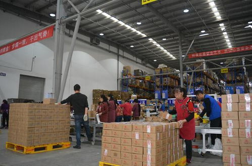 為何您的零售電商品牌亟需專業(yè)三方倉儲(chǔ)物流與貨物倉儲(chǔ)服務(wù)